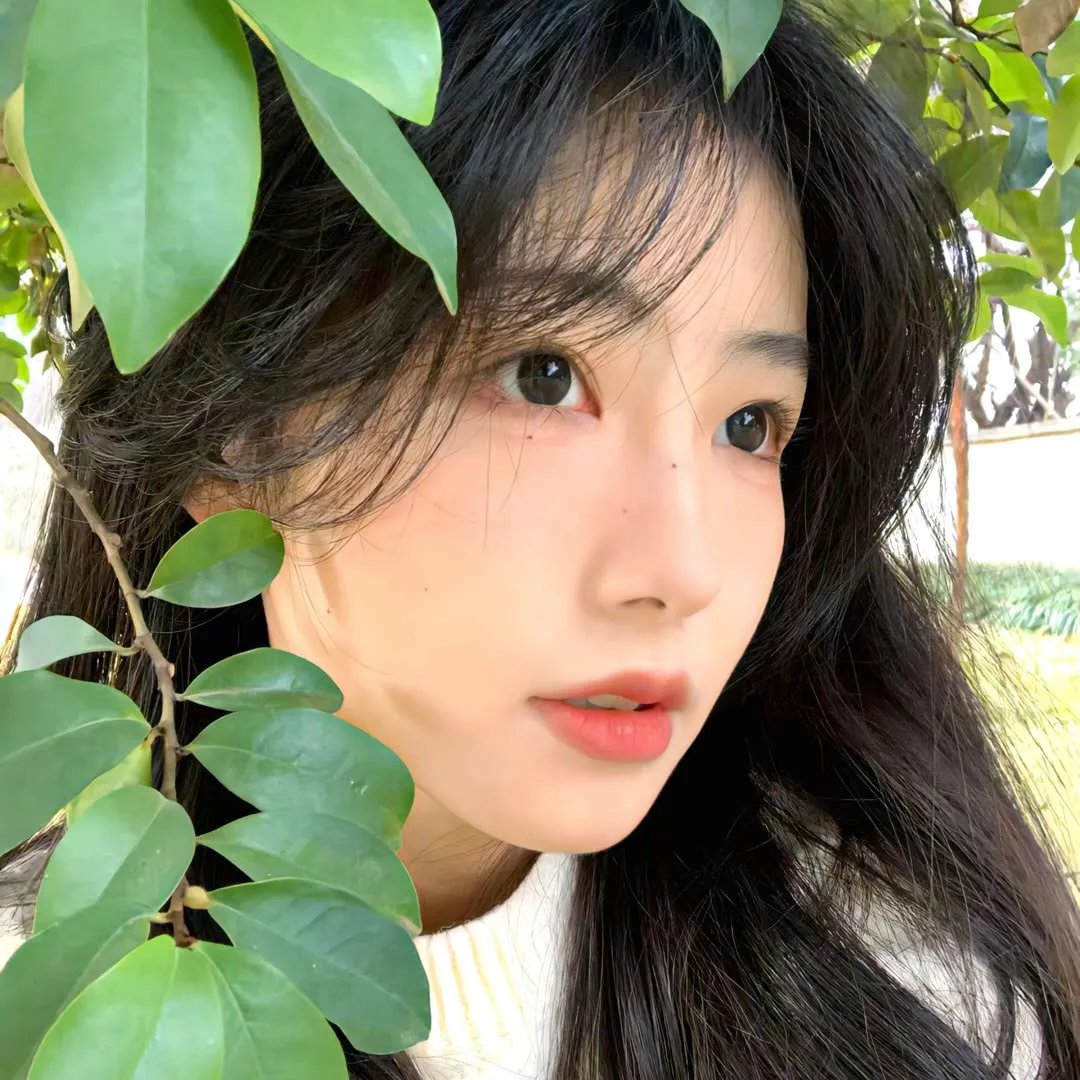 家庭巡礼